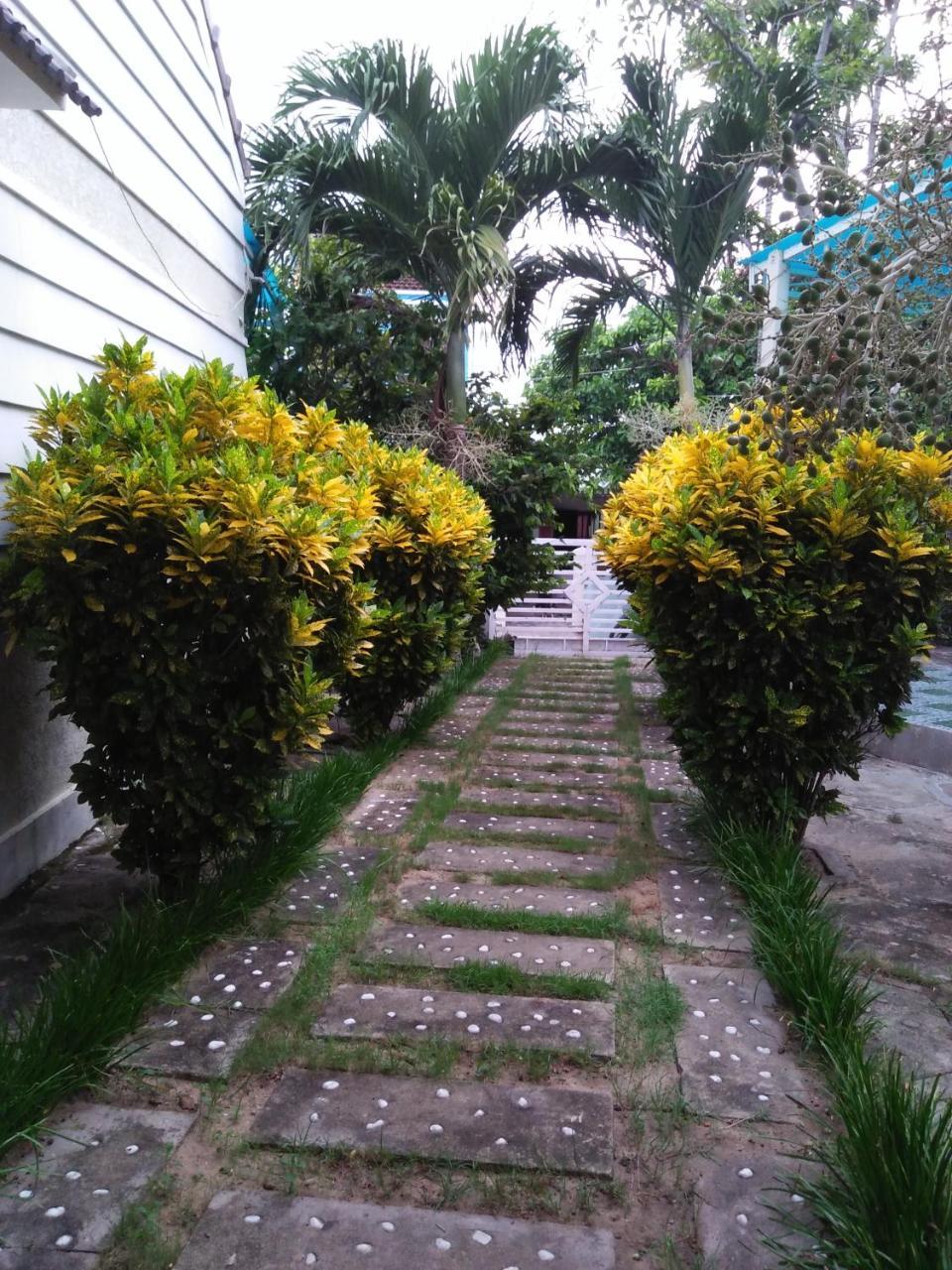 De Vong Riverside Homestay Hội An Kültér fotó